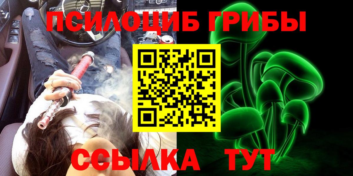 Псилоцибиновые грибы GOLDEN TEACHER Острогожск