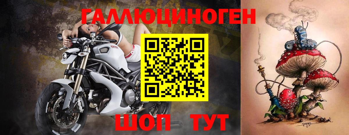 Псилоцибиновые грибы Psilocybine cubensis  Галлюциногенные грибы Psilocybe  Острогожск 