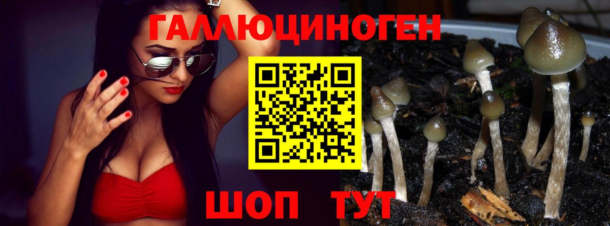 сколько стоит  Вход с VPN  Острогожск  Галлюциногенные грибы Psilocybe 