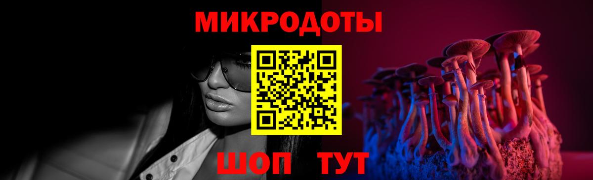 Галлюциногенные грибы Psilocybine cubensis Острогожск